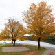Illustration for article titled 2019-11-02 Drive Through Frontenac Provincial Park